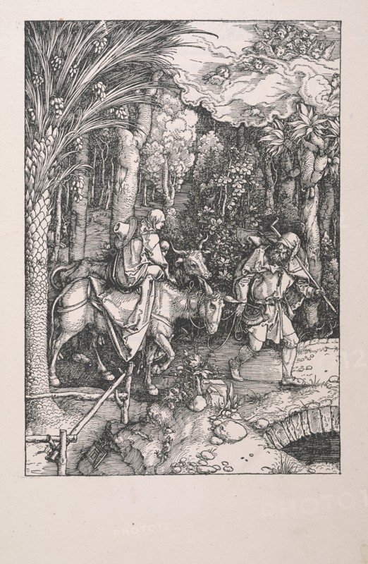 Epitome in divae parthenices Mariae historiam ab Alberto Durero Norico per figuras digestam cum versibus annexis Chelidonii