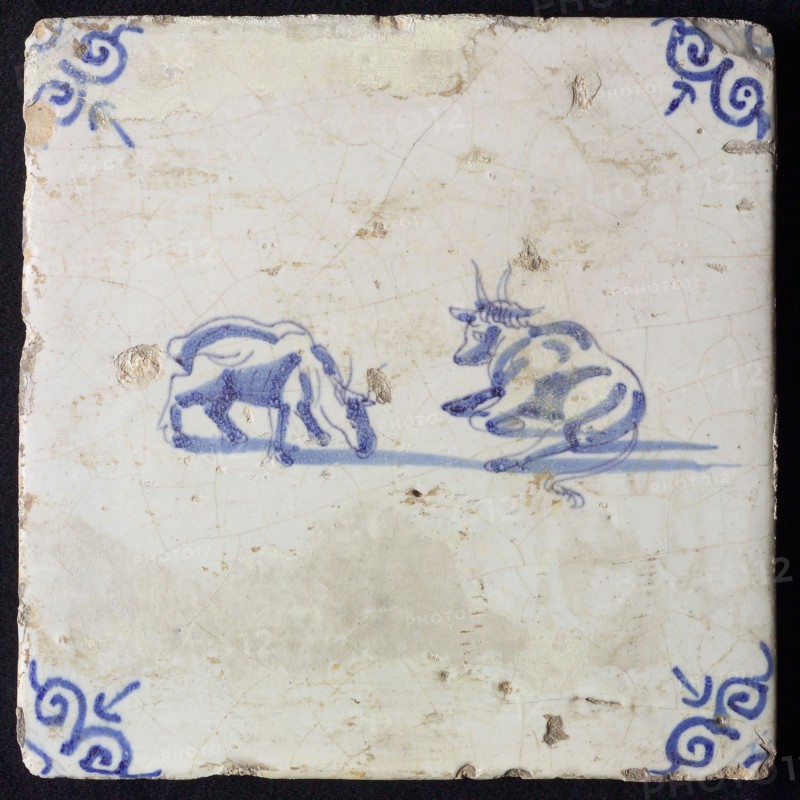 Animal tile, lying and grazing ox, in blue on white, corner motif oxenkop, wall tile tile sculpture ceramic earthenware glaze