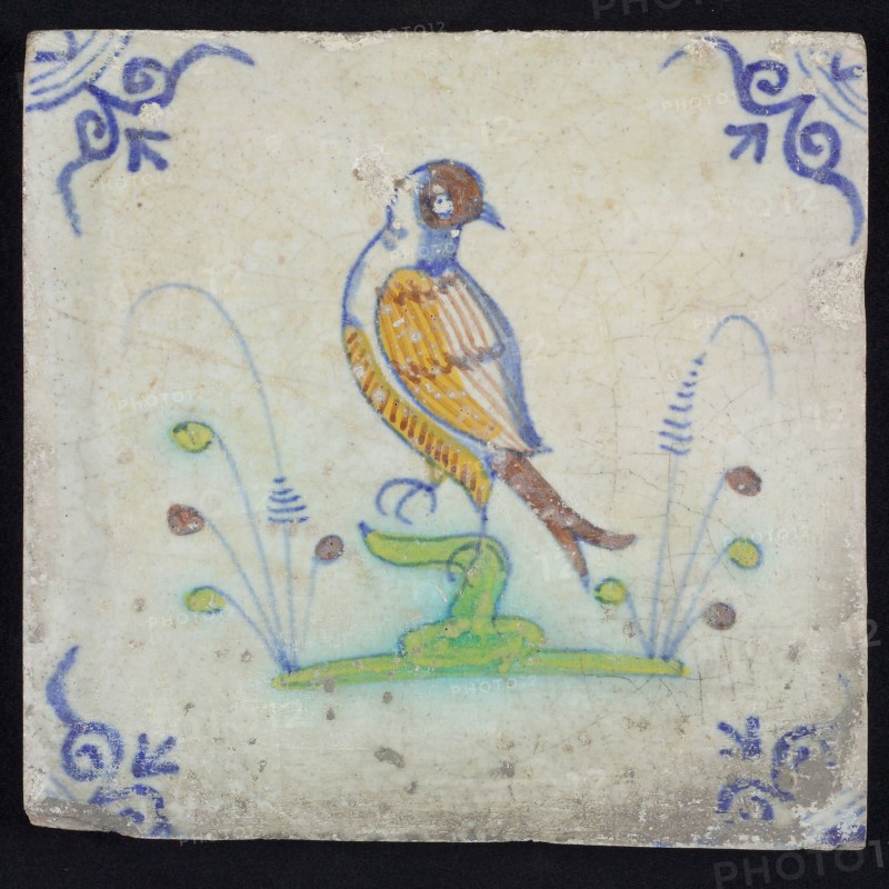 Animal tile, bird on branch to the left in orange, green, brown and blue on white, corner pattern ossenkop, wall tile