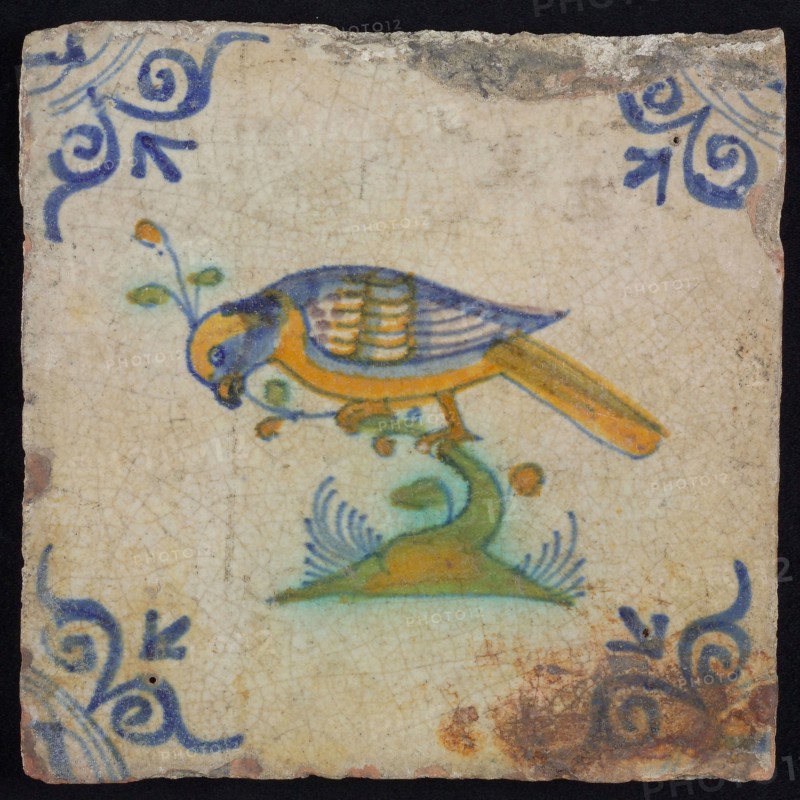Animal tile, bird on branch to the left in orange, green and blue on white, corner pattern ossenkop, wall tile tile sculpture