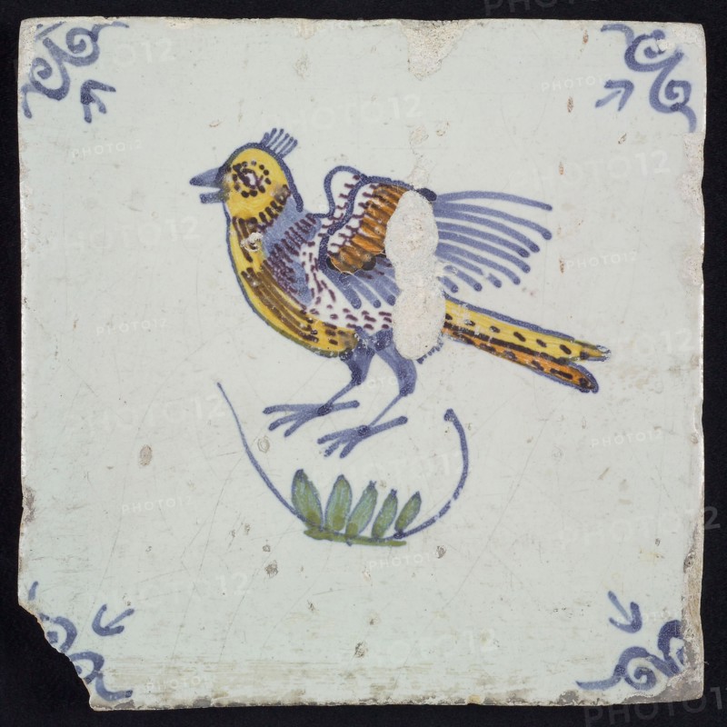 Animal tile, bird above branch to the left in yellow, brown, green and blue on white, corner pattern ossenkop, wall tile