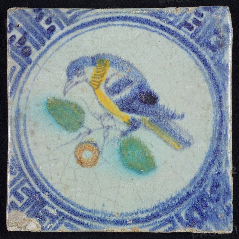 Animal tile, bird on branch to the left in yellow, orange, green and blue on white, inside circle, corner pattern meanders, wall