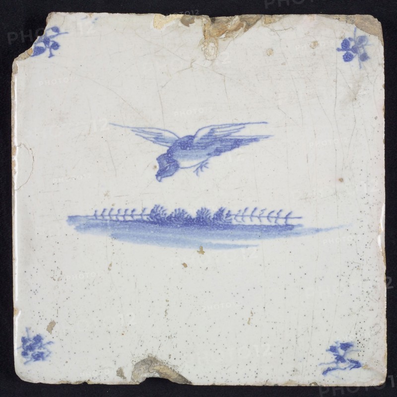 Animal tile, flying bird to the left above ground, in the background vegetation, in blue on white, corner pattern spider, wall