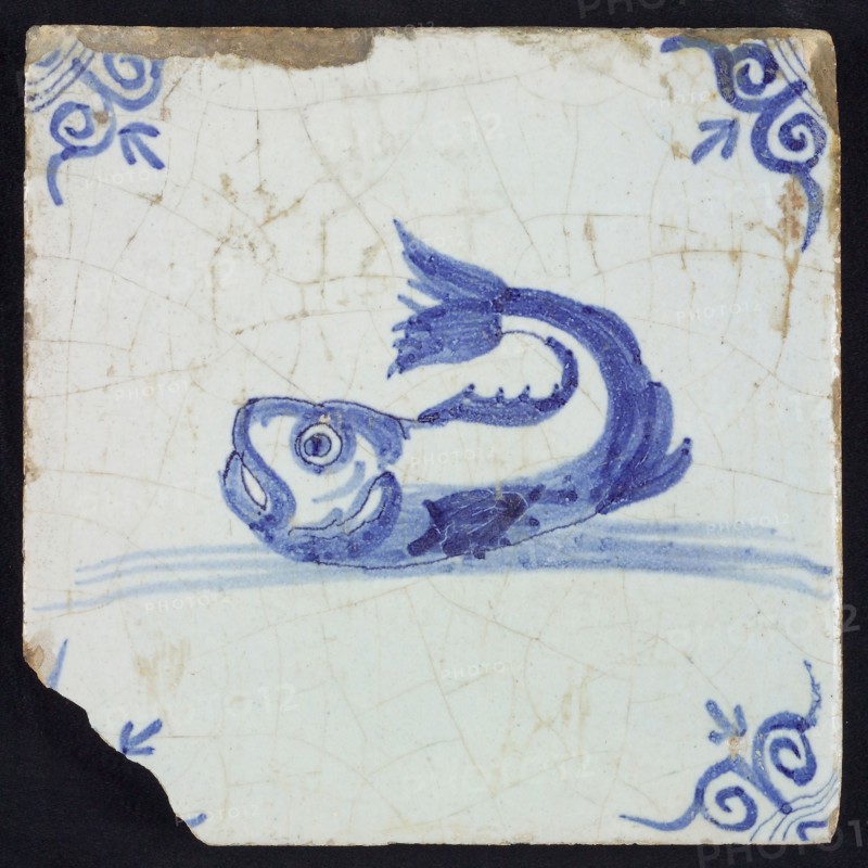 Animal tile, unknown fish in water to the left with open beak and curled tail, in blue on white, corner motif oxen head, wall