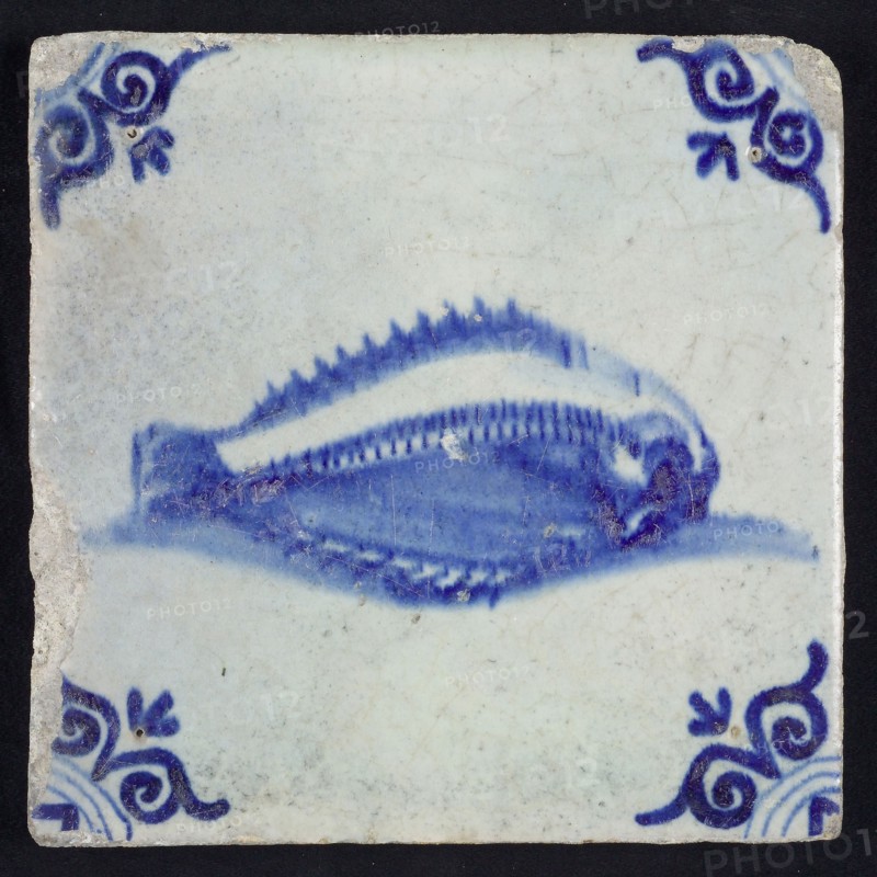 Animal tile, unknown fish in water to the right, in blue on white, corner motif of ox's head, wall tile tile sculpture ceramic