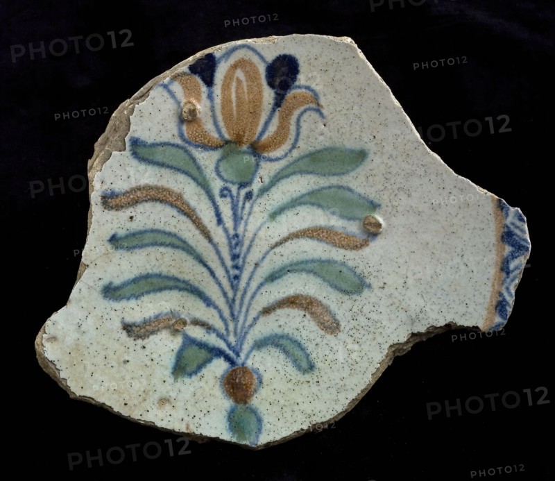 Fragment majolica dish, polychrome, tulip with fan blades, plate crockery holder soil find ceramic earthenware enamel, baked