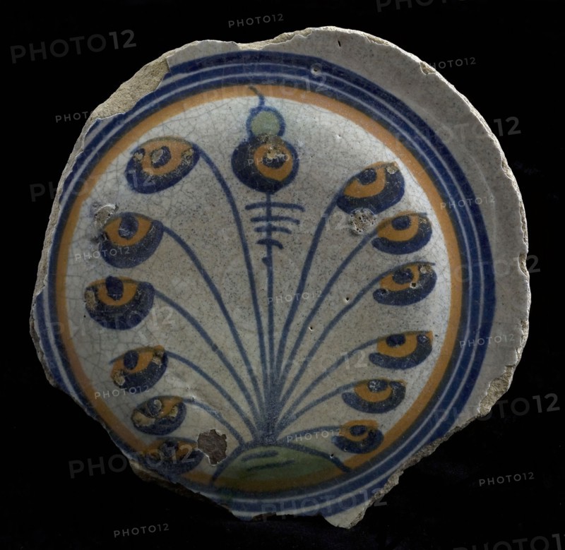 Fragment majolica dish, polychrome, flower with buds on fan-shaped stalks, plate crockery holder soil find ceramic earthenware