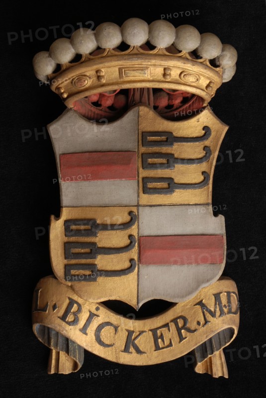 Carved wooden crowned coat of arms including the name L. Bicker. M.D, coat of arms informative form carvings sculpture sculpture