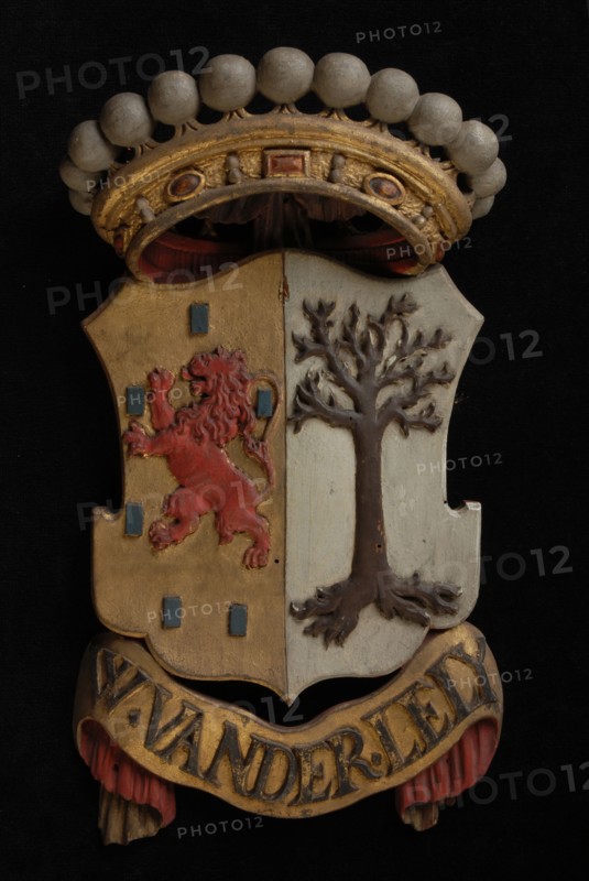 Carved wooden crowned coat of arms including the name W. Van der Lely, coat of arms information form carvings sculpture footage