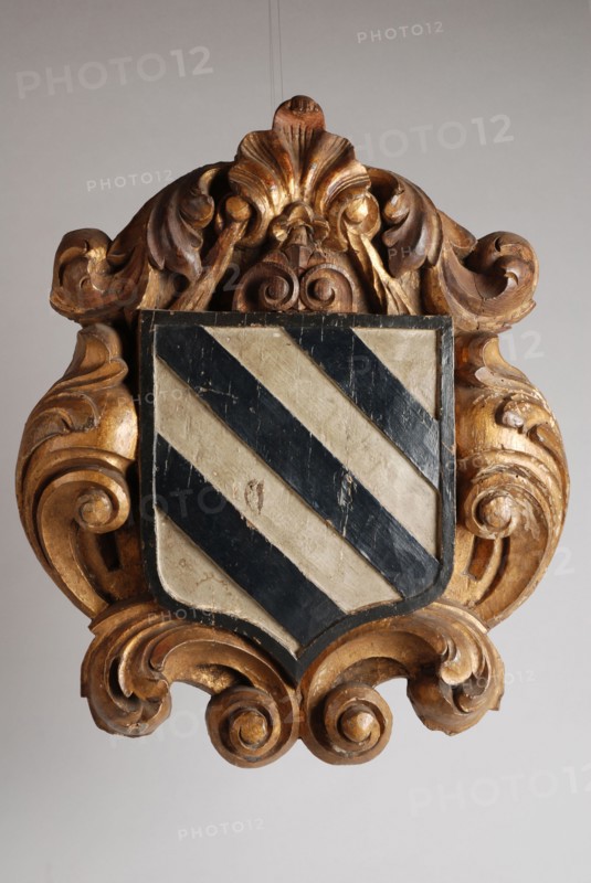 Charlois carved and painted coat of arms in frame of curling motifs, coat of arms information form carvings sculpture footage