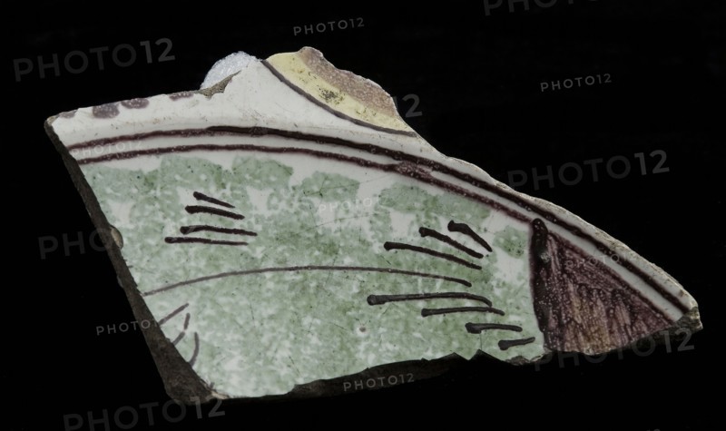 Small fragment majolica scale, polychrome, tree or shrub, plate dish crockery holder soil find ceramic earthenware glaze, baked