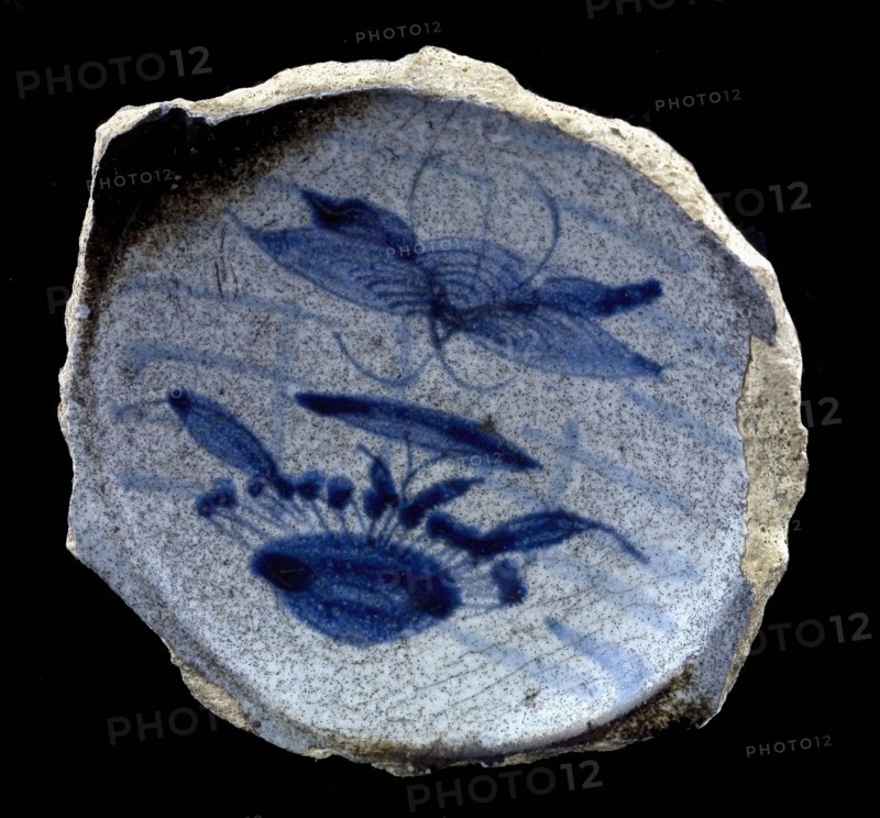 Fragment majolica bowl, blue on white, Chinese decor, flower and insect, bowl crockery holder soil find ceramic earthenware