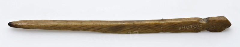 Fragment legs needle or stick, pen needle soil found leg, sawn sanded Shiny legs needle or stick.