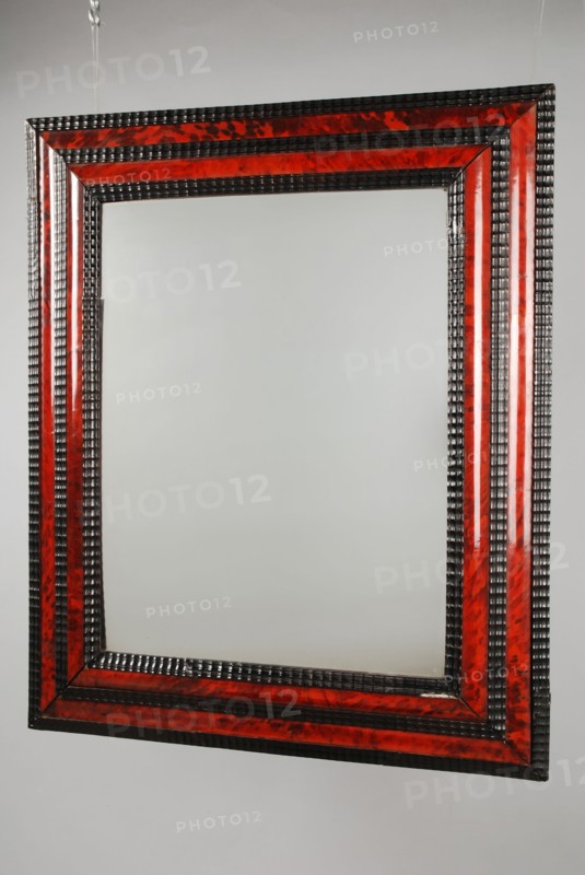 Rectangular mirror, interior design glass glass pine wood turtle, Wooden profile frame with turtle veneer and rubber frame