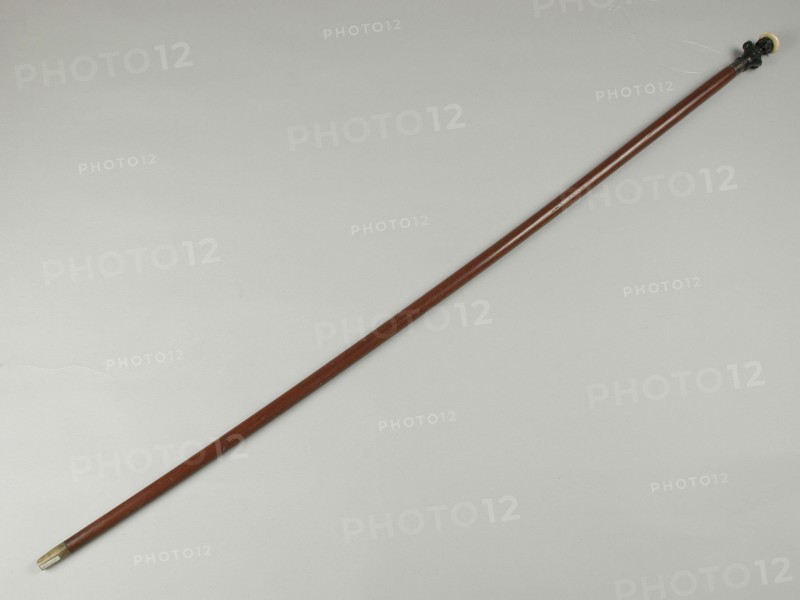 Walking stick with button in the shape of female bust, walking stick wood ebony? leg metal horn, Walking stick with lacquered