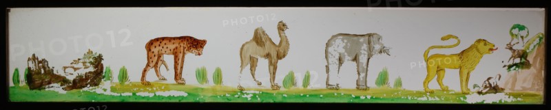 Hand-painted glass lantern plate in wooden frame, with wild animals, slide slide slideshoot images glass wood, Hand-painted