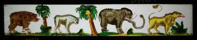 Hand-painted lantern plate in tin mount, depicting exotic animals, slide plate slideshope images glass paper tin, Hand-painted