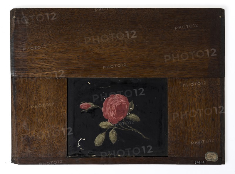 Hand-painted glass plate in wooden frame for illumination cabinet, image rose branch, slideshelf slideshoot images glass paint