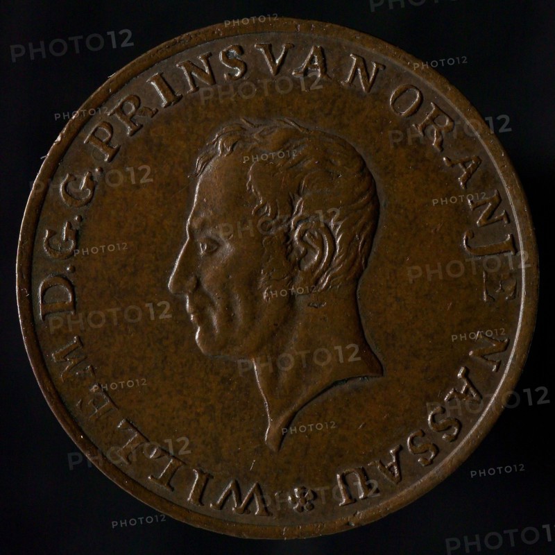 's Rijks Munt, Medal on the inauguration of William I, Prince of Orange, as sovereign prince, sprinkling penny imagery bronze