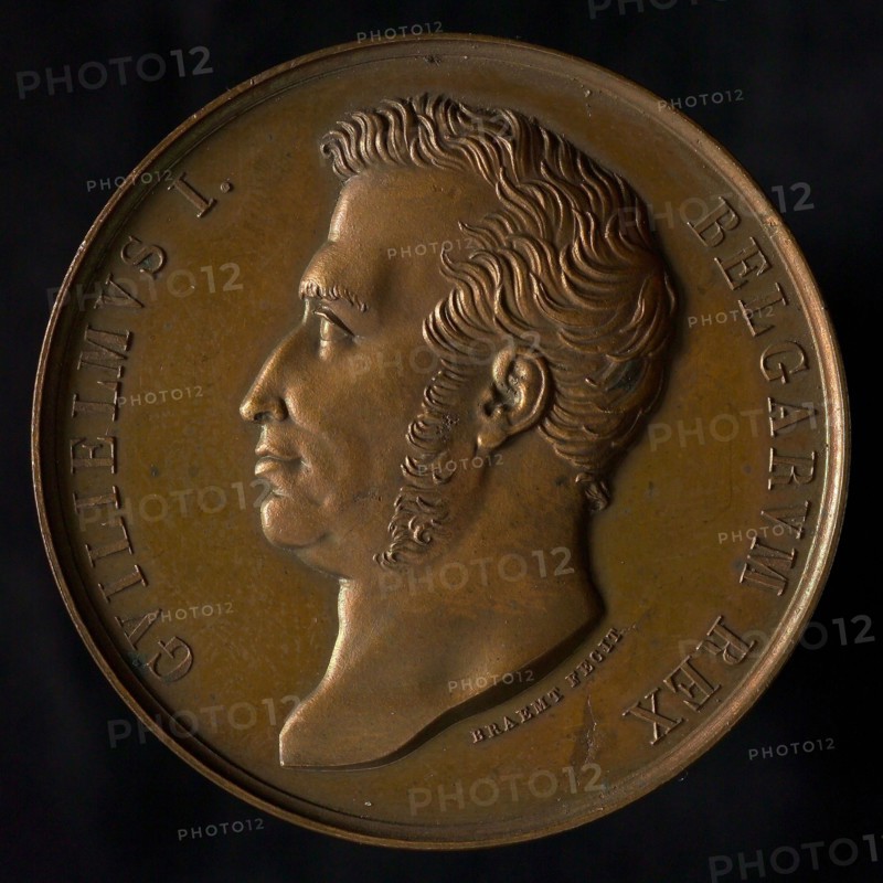 J. Braemt, Medal on the visit of King Willem I to the Maatschappij van Nijverheid in Gent, medallion bronze bronze figure 3,6