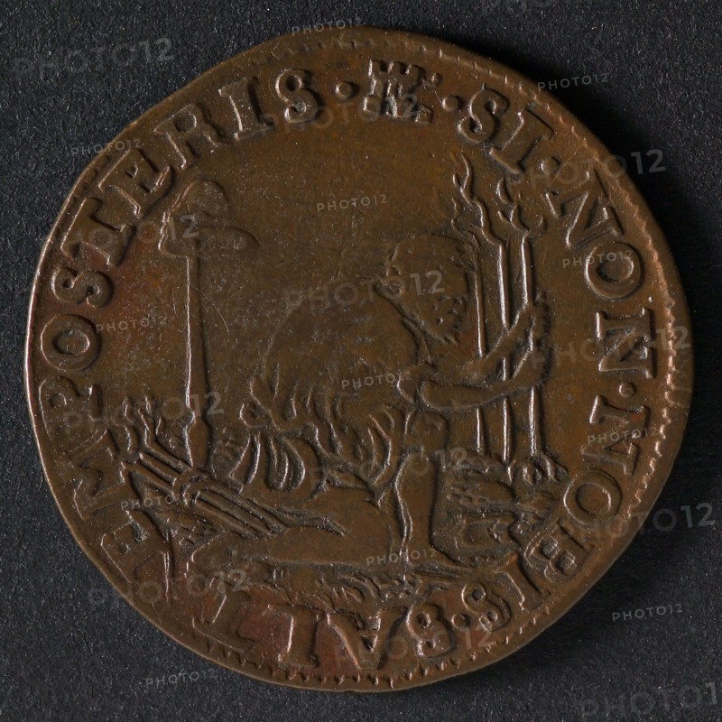 Medal on the high government of the Prince of Orange, penny footage copper, gardener kneeling at three trees. Freedom hat