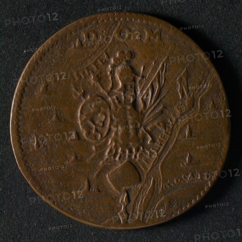 Medal on the victory of Prince Maurits at Turnhout and other war events, jeton utility medal medal exchange copper, weapon
