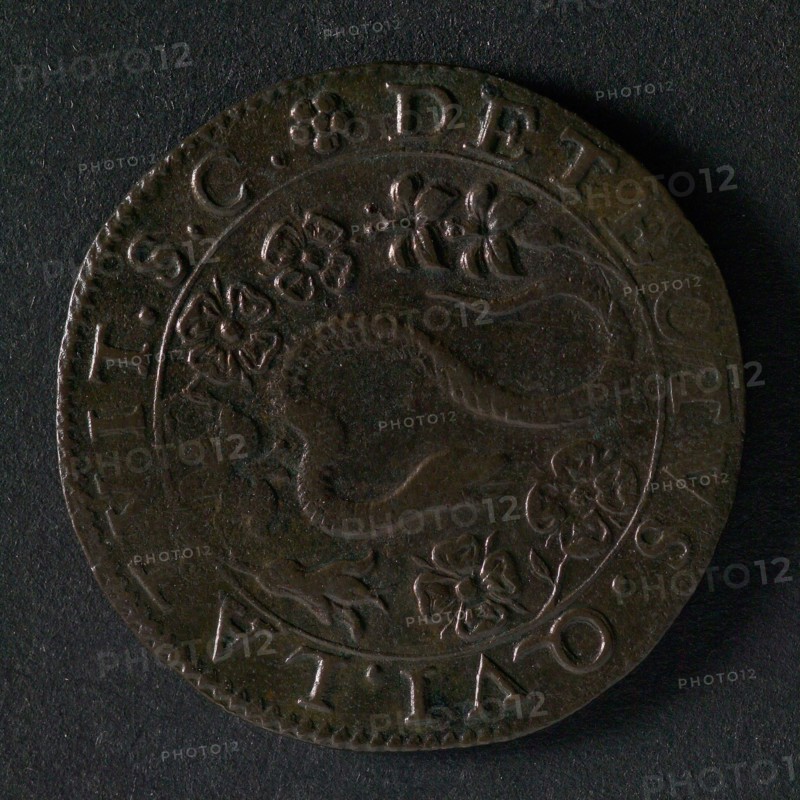 Medal on the gunpowder betrayal, jeton usage fee coin exchange medium find? copper, snake between lilies and roses omschrift