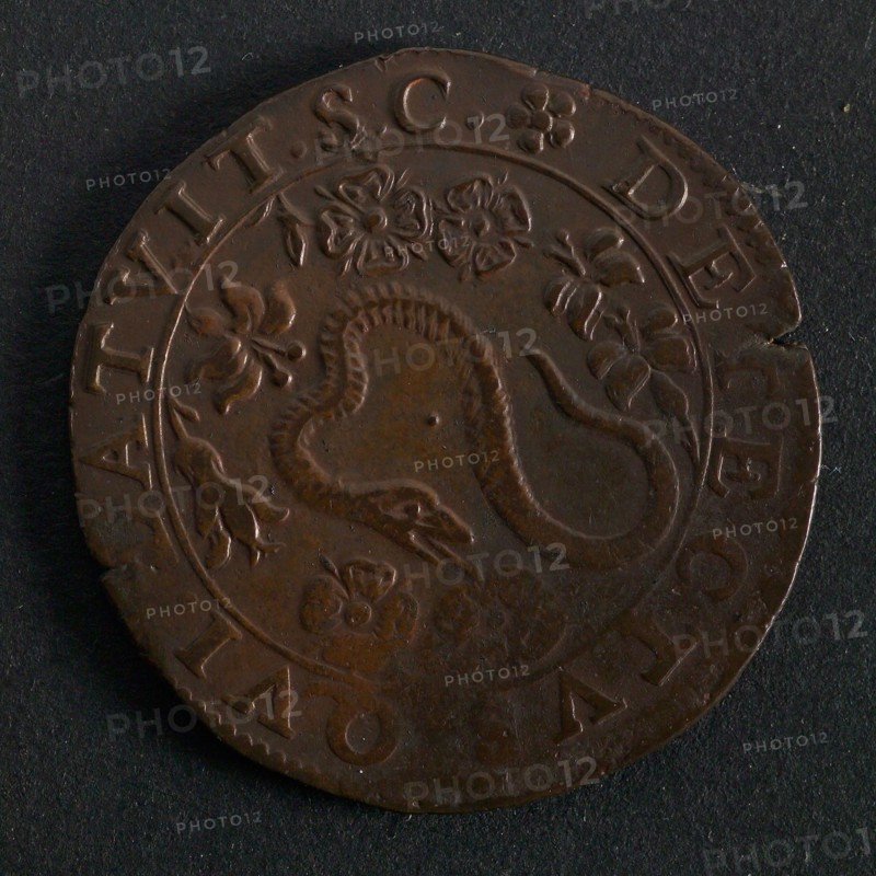 Medal on the gunpowder betrayal, jeton utility medal medal exchange copper, serpent between lilies and roses omschrift: DETECTVS