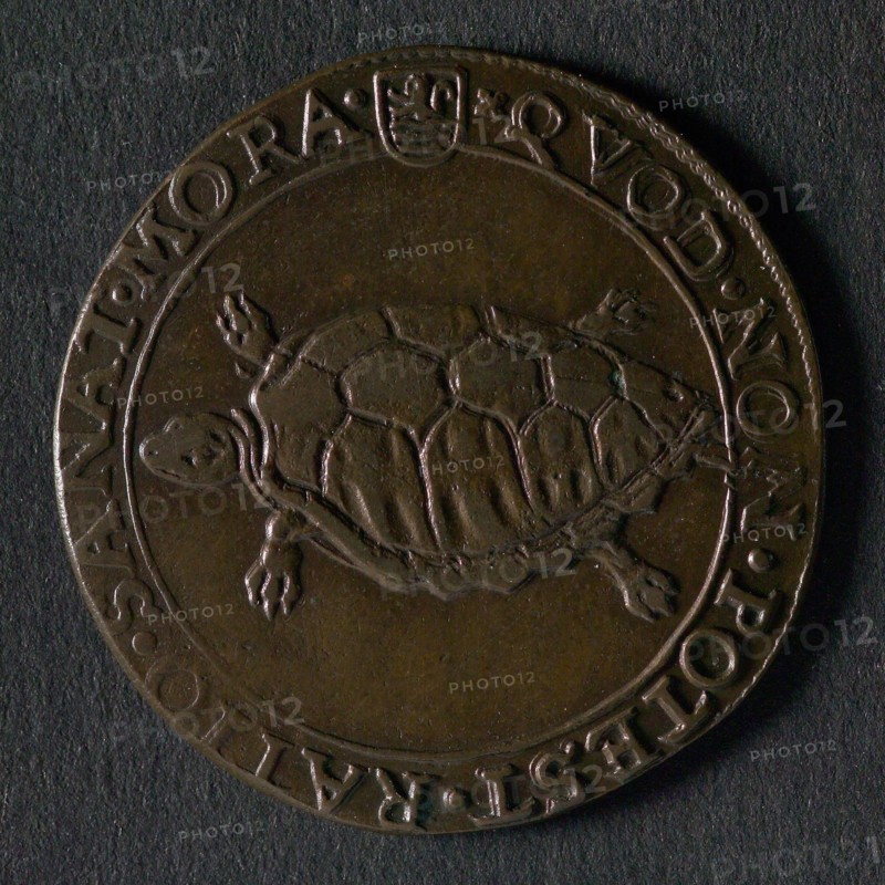 Medal on the 12-year File, jeton utility medal medal exchange copper, tortoise legend: .QVOD. NON. POTEST. RATIO. SANAT. MORA.