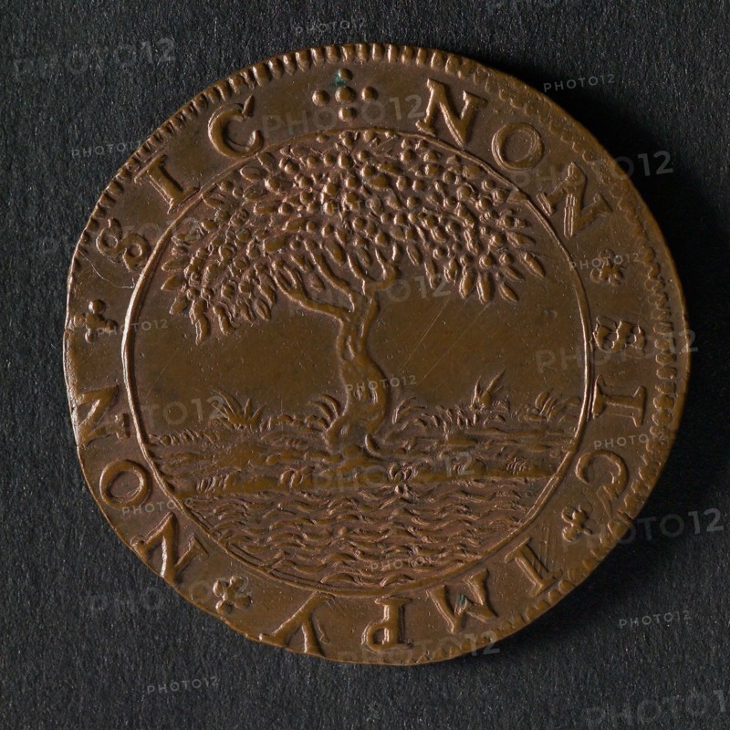 Medal on the prosperity in the Republic and in the East and West Indies, jeton utility medal medal exchange copper, fruit laden