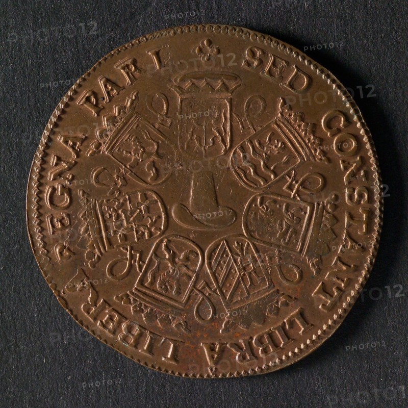 Medal on the expected peace in the Netherlands, penning image copper, Dutch lion with arrows and scale; date, 1671 legend: NON
