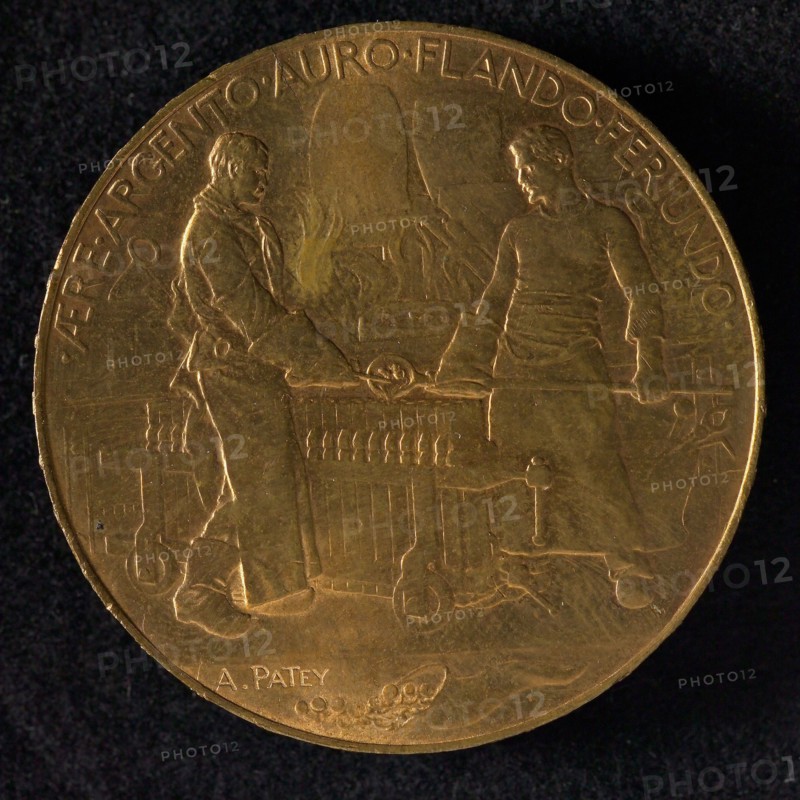 Auguste Patey (1855 - 1930), Gilded bronze medal of the Monnaie in Paris, medallions bronze gold, the Monnaie building: MONNAIE