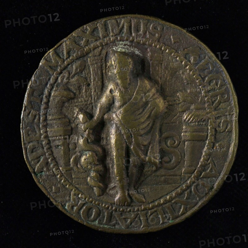 W. de Wijs, Entrance fee from the Hortus Medicus in Amsterdam, for doctors and pharmacists, medallions copper copper, Penny