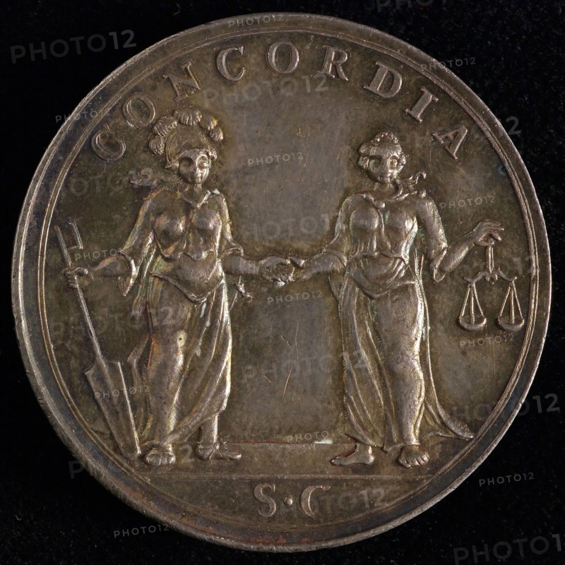 Meijer, VroedschapsMedal of The Hague, tooling medal penning identification carrier silver, struck, coat of arms of The Hague