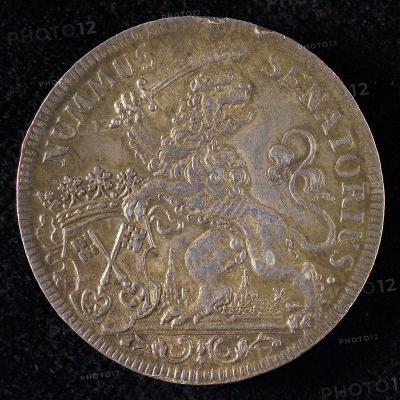 VroedschapsMedal from Leiden, tooling medal penning identification carrier silver, climbing lion with scimitar and crowned city