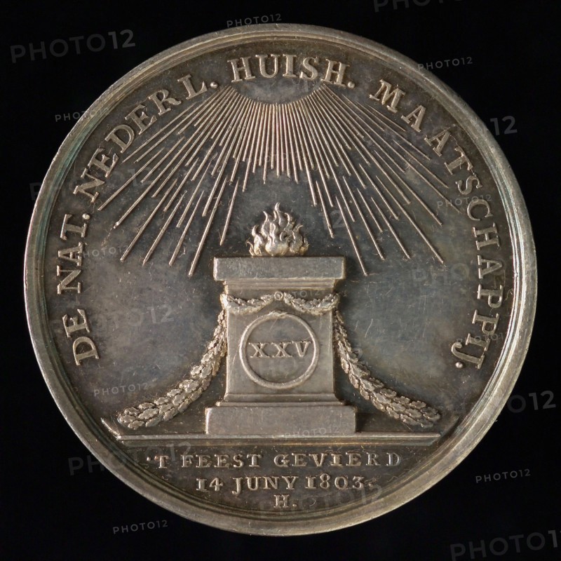 J.G. Holtzhey, Medal on the 25th anniversary of the Nationale Nederlandsche Huisoud Maatschappij, penning footage silver, Oak