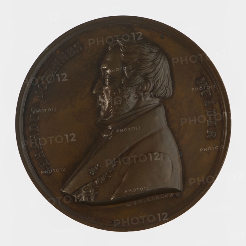 David van der Kellen, Medal on the 25-year professorship of Prof. dr. G.J. Mulder in Utrecht, medallion medallions bronze, left