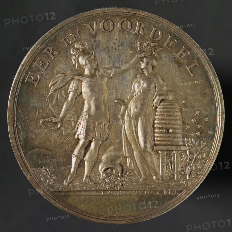 J.G. Holtzhey, Medal on the 50th anniversary of the Dutch Household Company, penning footage silver, symbolic male figure crowns