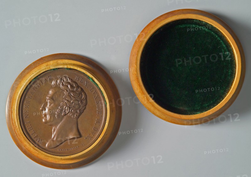 's Rijks Munt, Medal on the Ten Day Campaign, penning footage copper wood, left-wended bust of King William I, omschrift WILH: I