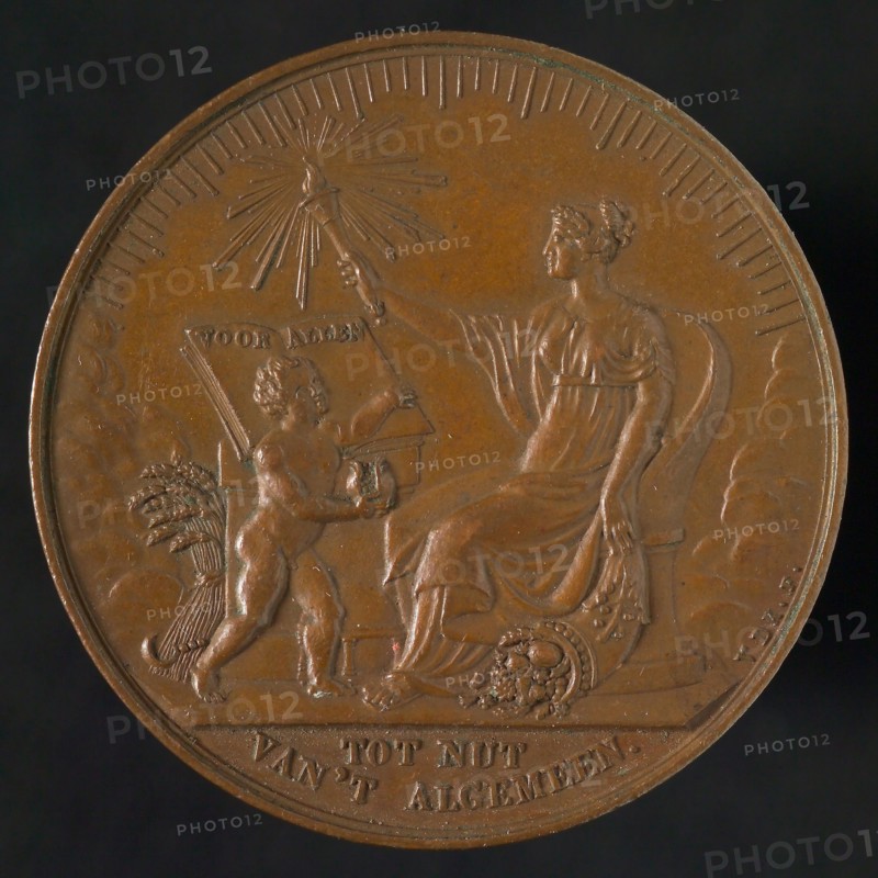 D. van der Kellen, Medal on the 50th anniversary of the Society for Nut of General, medallion medals bronze, symbolic female