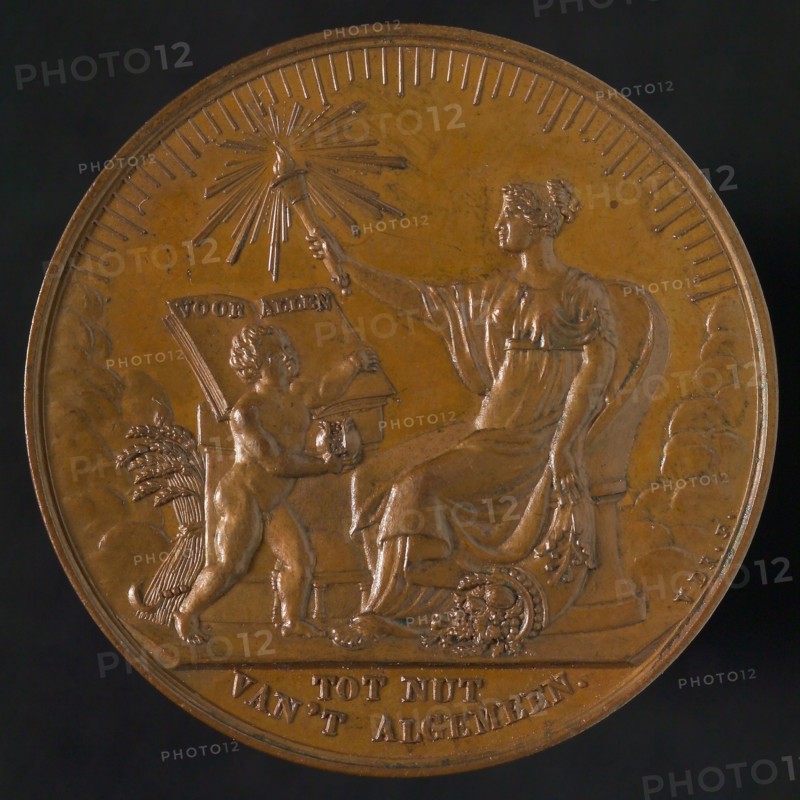 D. van der Kellen, Medal on the 50th anniversary of the Society to Nut of General, medallions bronze bronze 3,5, the Society