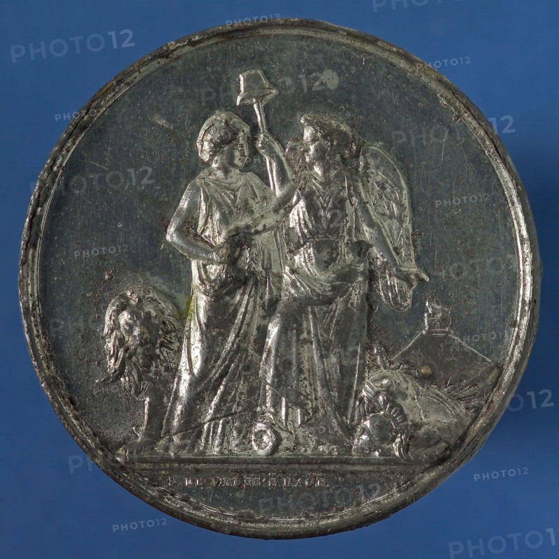 S. de Vries, Medal on the 50th anniversary of the Battle of Waterloo, medallion pewter tin silver, silverplated, the Victory