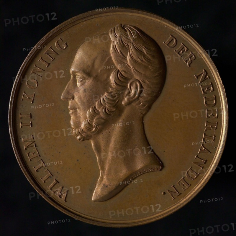 Van der Kellen, Medal on the death of King William II, death certificate medal bronze bronze figure 3,6, left-wing portrait