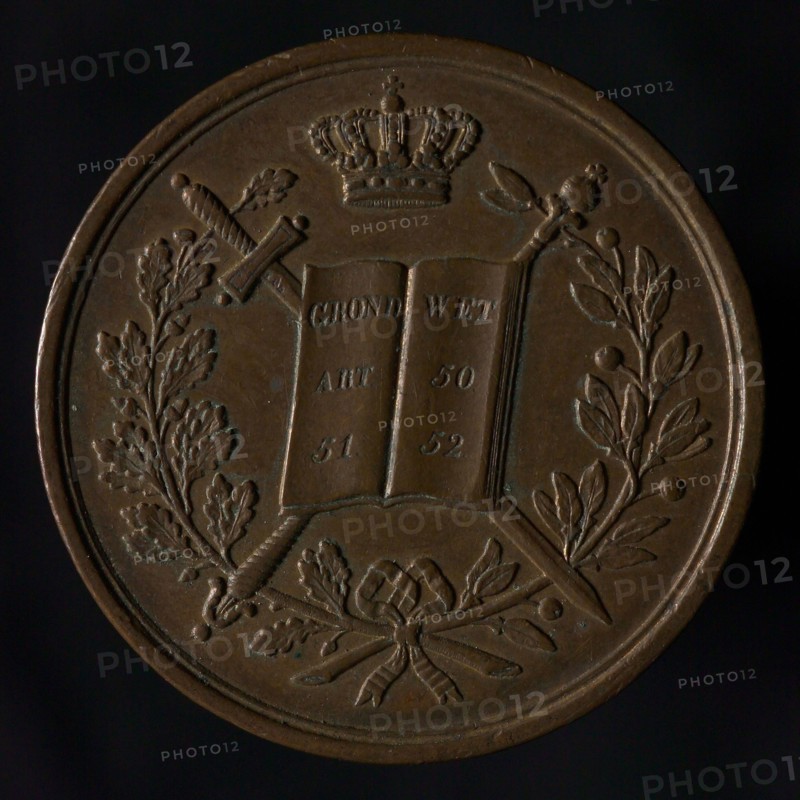 Medal on the inauguration of King William III in 1849, medallion medal bronze, open book with text (constitution) with sword