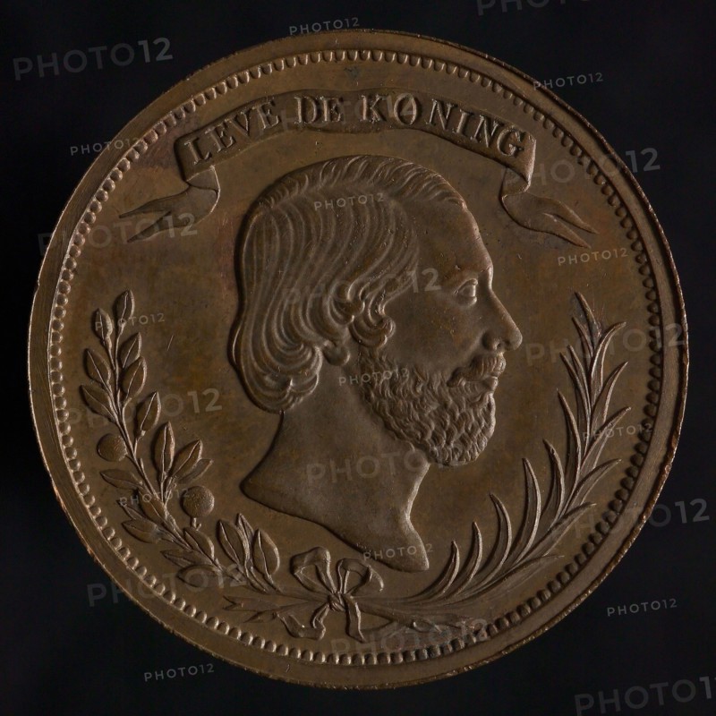 Medal on the visit of King William III to Utrecht, commemorative medal penning footage bronze, portrait of the king to the right