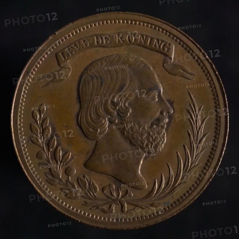 Medal on the visit of King William III to Utrecht, penny footage copper, portrait of the king to the right. Above it streamer