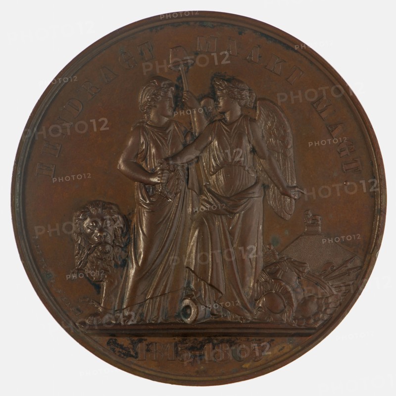 S. de Vries, Medal on the fiftieth anniversary of the Battle of Waterloo, commemorative medal penning visual material bronze