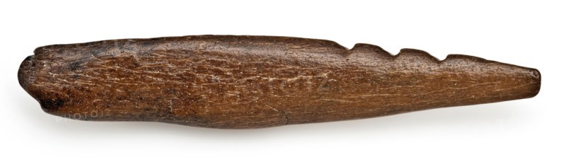 Legs pointed with three barbs, pointed harpoon soil found bone, sawn cut cut Late stone age archeology Maglemose culture
