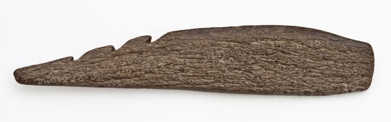 Legs or horns pointed with three barbs, pointed harpoon groundfound bone horn, sawn cut ground Late stone age archeology