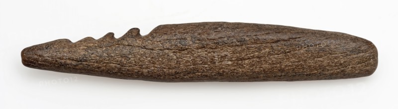 Legs or horns pointed with four barbs, pointed harpoon soil found horn bone, sawn cut cut Late stone age archeology Maglemose